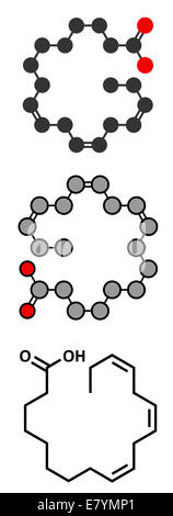 Alpha-Linolensäure (ALA)-Molekül. Essentiellen mehrfach ungesättigten Omega-3 Fettsäuren, vorhanden in vielen pflanzlichen Ölen. Konventionelle Stockfoto