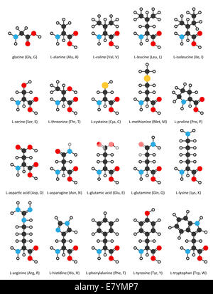 Aminosäuren, chemische Strukturen: Glycin, Alanin, Valin, Leucin, Isoleucin, Serin, Threonin, Cystein, Methionin, Thyon Stockfoto