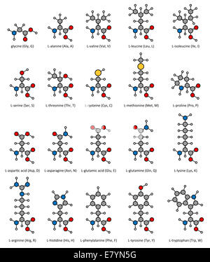 Aminosäuren, chemische Strukturen: Glycin, Alanin, Valin, Leucin, Isoleucin, Serin, Threonin, Cystein, Methionin, Thyon Stockfoto