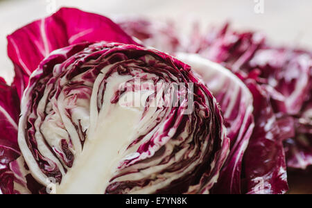 In Scheiben geschnittenen Radicchio im Sonnenlicht mit lila und weißen Blättern Stockfoto