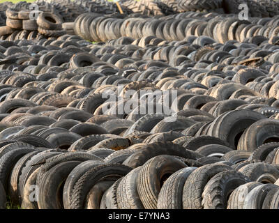 Lagerpartie voller getragen und kahl Auto, LKW und Traktor Reifen bereit für das recycling, Saskatchewan, Kanada. Stockfoto