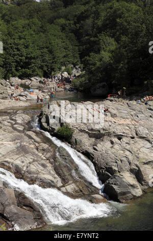 Schwimmen in der Tarn, Le Pont De Monvert, Cevennen-Nationalpark, Lozere, Languedoc-Roussillon, Frankreich. Stockfoto