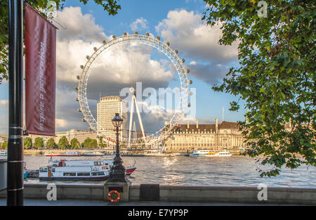 Blick auf London Riesenrad (London Eye) von der Orther Seite der Themse. Stockfoto