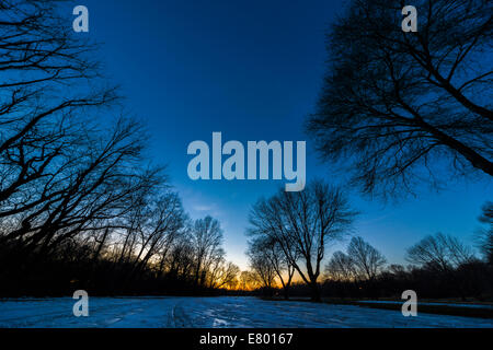 Dunkle eisigen Winter Straße mit furchterregende Bäume im Wald Wald in der Dämmerung Abenddämmerung Abend Nacht im ländlichen Virginia. Stockfoto