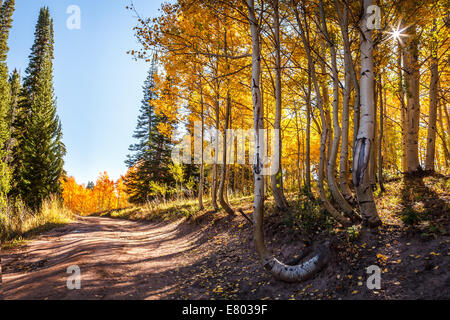 Schöne Bergstraße mit herbstlichen Bäume und Sonne durch Espe Bäume Stockfoto