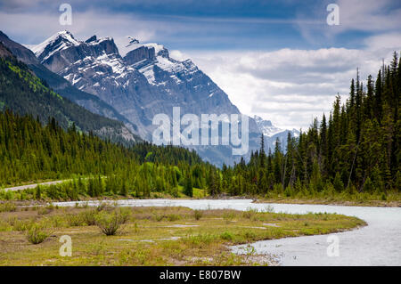 Icefields Parkway, Banff Nationalpark, Alberta, Kanada Stockfoto