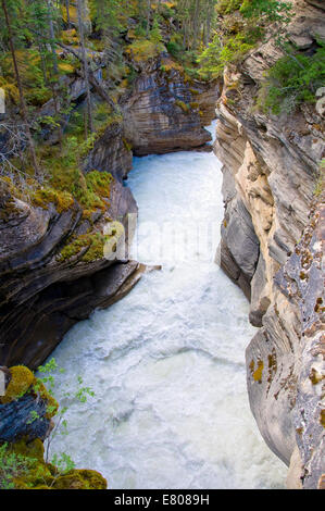 Athabasca Falls, Icefields Parkway Jasper Nationalpark, Alberta, Kanada Stockfoto