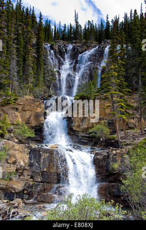 Tangle Falls, Jasper Nationalpark, Alberta, Kanada Stockfoto