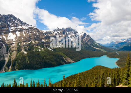 Peyto Lake, Banff Nationalpark, Alberta, Kanada Stockfoto