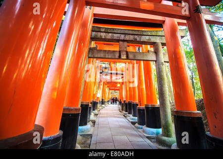 Kyoto, Japan - 30. Juni 2014: Fushimi Inari-Taisha-Schrein in Kyōto, Japan Stockfoto