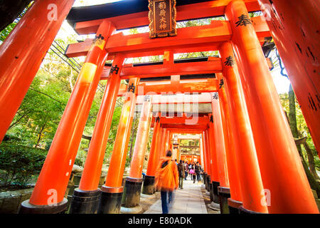 Kyoto, Japan - 30. Juni 2014: Fushimi Inari-Taisha-Schrein in Kyōto, Japan Stockfoto