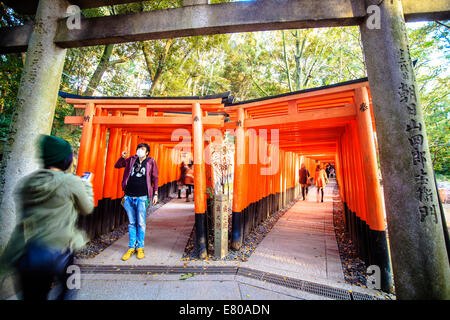 Kyoto, Japan - 30. Juni 2014: Fushimi Inari-Taisha-Schrein in Kyōto, Japan Stockfoto