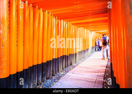 Kyoto, Japan - 30. Juni 2014: Fushimi Inari-Taisha-Schrein in Kyōto, Japan Stockfoto