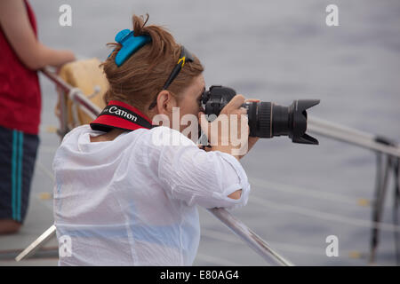 Dolphin Watching Boot Stockfoto