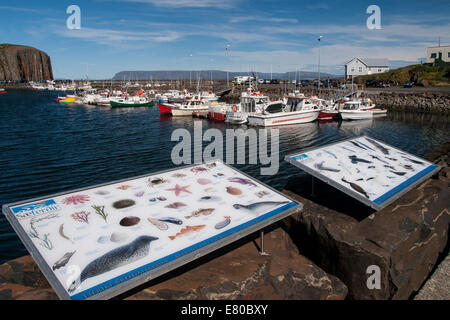 Das Dorf, die Bucht und Hafen Stykkishólmur. Vesturland Region. Snafellsnes Halbinsel, Island, Europa Stockfoto