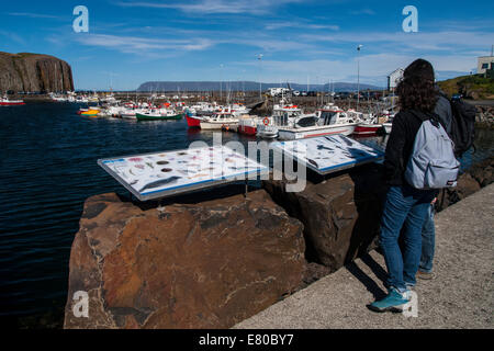 Das Dorf, die Bucht und Hafen Stykkishólmur. Vesturland Region. Snafellsnes Halbinsel, Island, Europa Stockfoto