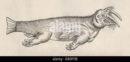 Illustration von Walross wie marine Wesen aus "Historia Animalium" von Conrad Gessner (1516-1565). Siehe Beschreibung für mehr Informationen. Stockfoto