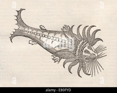 Illustration der marine Wesen aus "Historia Animalium" von Conrad Gessner (1516-1565). Siehe Beschreibung für mehr Informationen. Stockfoto