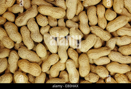 Monkey Nuts, Erdnüsse oder Erdnüsse in der Schale als eine abstrakte Hintergrundtextur Stockfoto