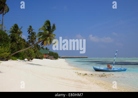 Malediven, Meeru island Stockfoto