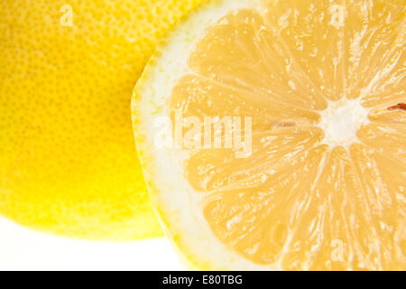 Zitrone (Citrus x Limon) - Reife Frucht auf weißen Hintergrund mit einem kleinen Zweig isoliert Stockfoto