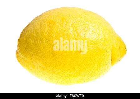 Zitrone (Citrus x Limon) - Reife Frucht auf weißen Hintergrund mit einem kleinen Zweig isoliert Stockfoto
