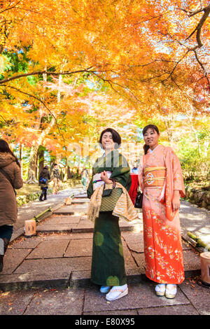 Kyoto, Japan - 30. Juni 2014: Rote Blätter des Ahorns im Herbst, japan Stockfoto