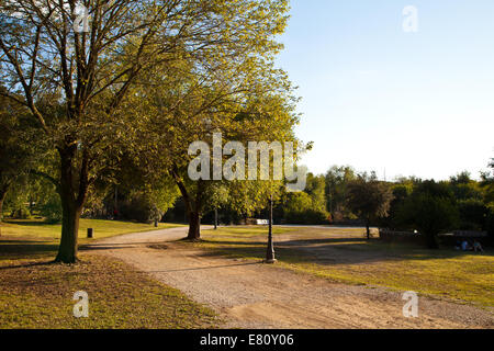 Herbsttag in einem Stadtpark in Rom Stockfoto