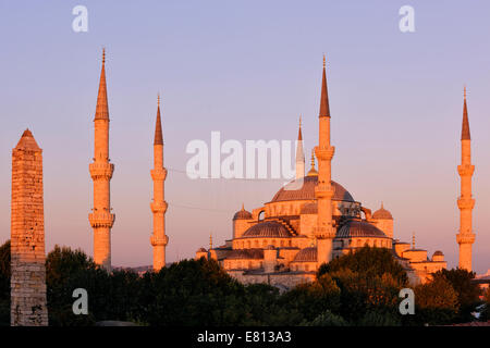 Die blaue Moschee in der Abenddämmerung in rosa Licht Stockfoto