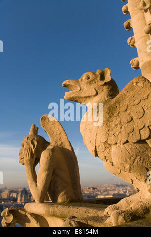 Frankreich, Paris, Chimera an Fassade der Kathedrale Notre-Dame Stockfoto