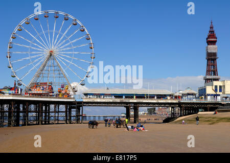 Central Pier und Turm in Blackpool Stockfoto