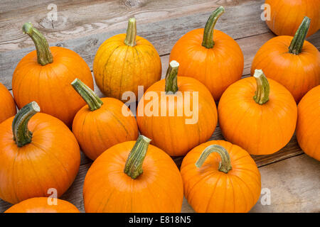 ein paar kleine Kürbisse auf eine rustikale Holzplanken - Halloween oder Herbstferien Hintergrund Stockfoto