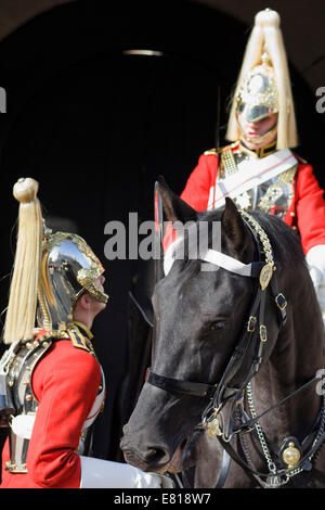 Pferd beißt die Hand eines Household Cavalry Guard außerhalb der Horse Guards Parade in London Stockfoto