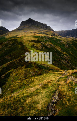 Fernblick über Harrison scheut fiel Gipfel eines der Langdale Pikes Seenplatte Cumbria North West England UK Stockfoto