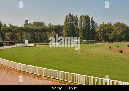 Pferderennbahn mit Rasen natürlich Stockfoto