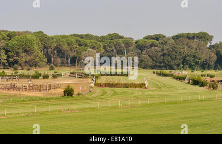 Pferderennbahn mit Rasen natürlich Stockfoto