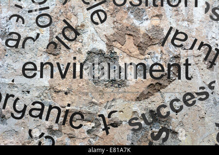 Umwelt-Wortwolke Stockfoto