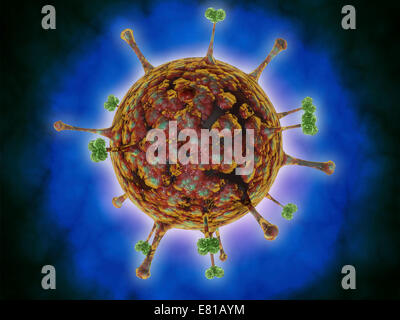 Mikroskopische Ansicht des Henipavirus. Henipavirus ist eine etablierte Gruppe von Paramyxoviruses, bestehend aus dem Hendra-Virus, Nipah-virus Stockfoto