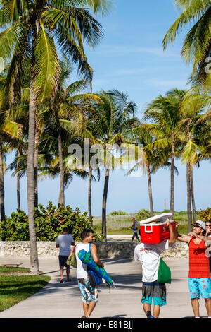 Miami Beach Florida, Ocean Drive, Lummus Park, Serpentine Trail, Biker, Fahrräder, Reiten, Erwachsene Erwachsene Männer Männer Männer, Palmen, Erwachsene Erwachsene Erwachsene Männer, freitag Stockfoto