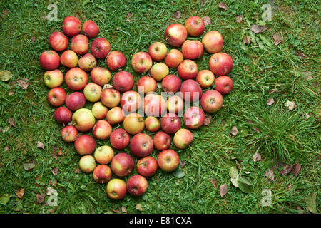 Sweet Heart Form gemacht von Äpfel, Haufen von Äpfeln Stockfoto