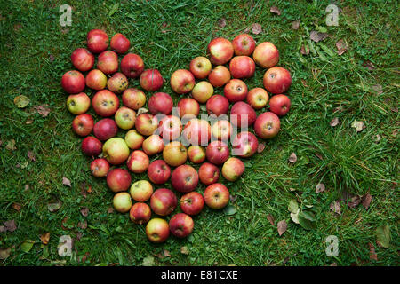 Sweet Heart Form gemacht von Äpfel, Haufen von Äpfeln Stockfoto