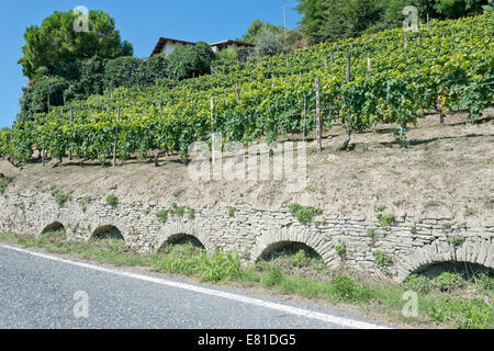 Italien, Weinberge des Piemonts: Langhe Roero und Monferrato auf der Weltkulturerbe Liste UNESCO Stockfoto