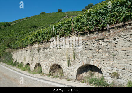Italien, Weinbergen des Piemont: Langhe Roero und Monferrato auf der UNESCO-Welterbe Liste: Weinberge von Santo Stefano Belbo Stockfoto