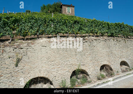 Italien, Weinbergen des Piemont: Langhe Roero und Monferrato auf der UNESCO-Welterbe Liste: Weinberge von Santo Stefano Belbo Stockfoto