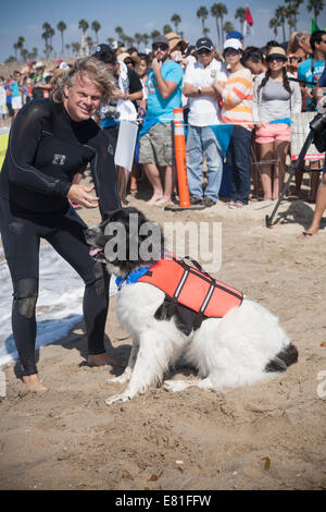 Huntington Beach, CA, USA. 28. September 2014. Ein Hund und Hundeführer vor bei Surf City Surf Dog™ jährlichen Eckzahn Surf-Wettbewerb konkurrieren. Hunde aller Größen "hängen 20", wie sie in vier Gewichtsklassen Divisionen sowie eine Tandem-Hitze zu konkurrieren. Sie werden auf eine Vielzahl von Fähigkeiten, einschließlich der Dauer ihrer Fahrt und ihr Vertrauen auf dem Brett beurteilt. Bildnachweis: Andie Mühlen/Alamy Live-Nachrichten Stockfoto