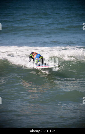 Huntington Beach, CA, USA. 28. September 2014. Ein Hund tritt bei Surf City Surf Dog™ jährlichen Eckzahn Surf-Wettbewerb. Hunde aller Größen "hängen 20", wie sie in vier Gewichtsklassen Divisionen sowie eine Tandem-Hitze zu konkurrieren. Sie werden auf eine Vielzahl von Fähigkeiten, einschließlich der Dauer ihrer Fahrt und ihr Vertrauen auf dem Brett beurteilt. Bildnachweis: Andie Mühlen/Alamy Live-Nachrichten Stockfoto