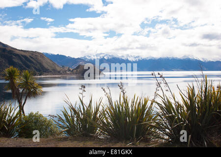 Alpine Landschaft, Südinsel, Neuseeland Stockfoto