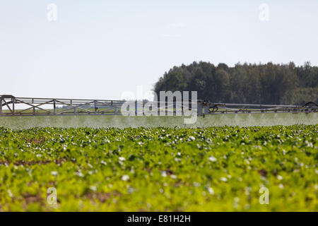 Traktor Pestizid Fungizid Insektizid sprayer Stockfoto