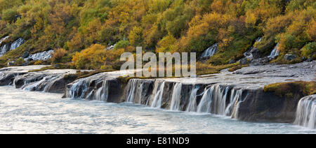 Hraunfossar, Wasserfälle des Flusses Hvítá im Herbst, in der Nähe von Húsafell und Reykholt, Island Stockfoto