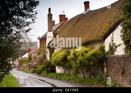 Großbritannien, England, Somerset, Bicknoller, Church Lane, attraktive strohgedeckten Hütte Stockfoto